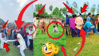 Meme Review USA  Funny Public Reaction Prank 😂 | New Comedy Entertainment Trending Video 2026 #funny