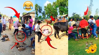 Meme Review USA 🇺🇸 | Public Reaction Prank 😂 | Funny Comedy Entertainment Trending Video 2026