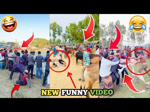 Meme Review USA 🇺🇸 | Most Popular Public Reaction Prank 😂 Funny Comedy Entertainment Trending Video