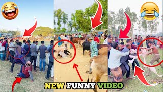 Meme Review USA 🇺🇸 | Most Popular Public Reaction Prank 😂 Funny Comedy Entertainment Trending Video