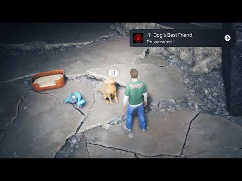 Control Resonant Hidden Dog & Dog Toy Locations - Dog's Best Friend Trophy Guide