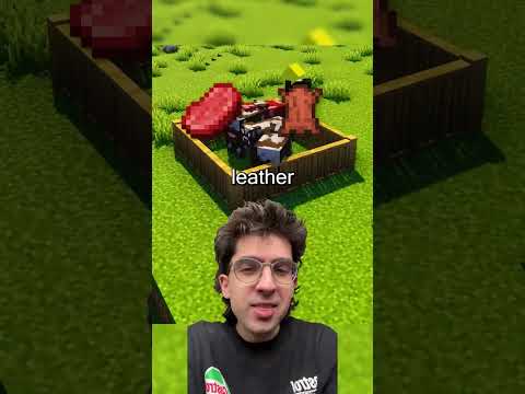 The Minecraft Player that Controls the Wheat controls the world #minecraft #gaming #gamer #shorts