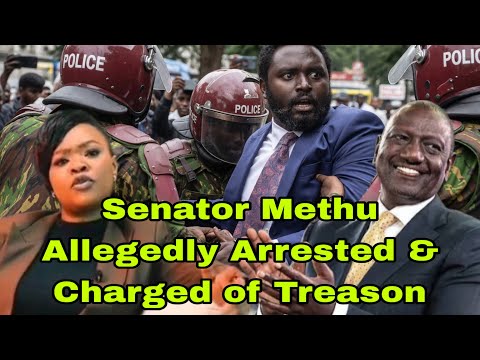 Shocking!Senator Methu Allegedly Arrested & to be Charged of Treason -Maverick Aoko Exposes Ruto