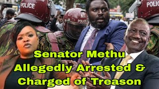 Shocking!Senator Methu Allegedly Arrested & to be Charged of Treason -Maverick Aoko Exposes Ruto