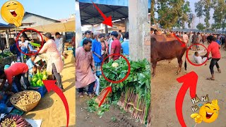 Meme Review USA 😂 | Most Popular Funny Comedy Entertainment Trending Video 🤣 Public Reaction #funny